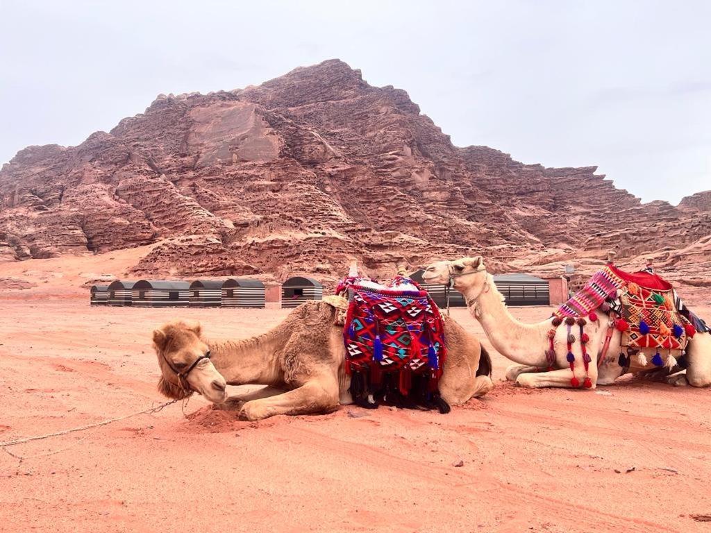 Wadi Rum Sky Tours & Camp Luaran gambar
